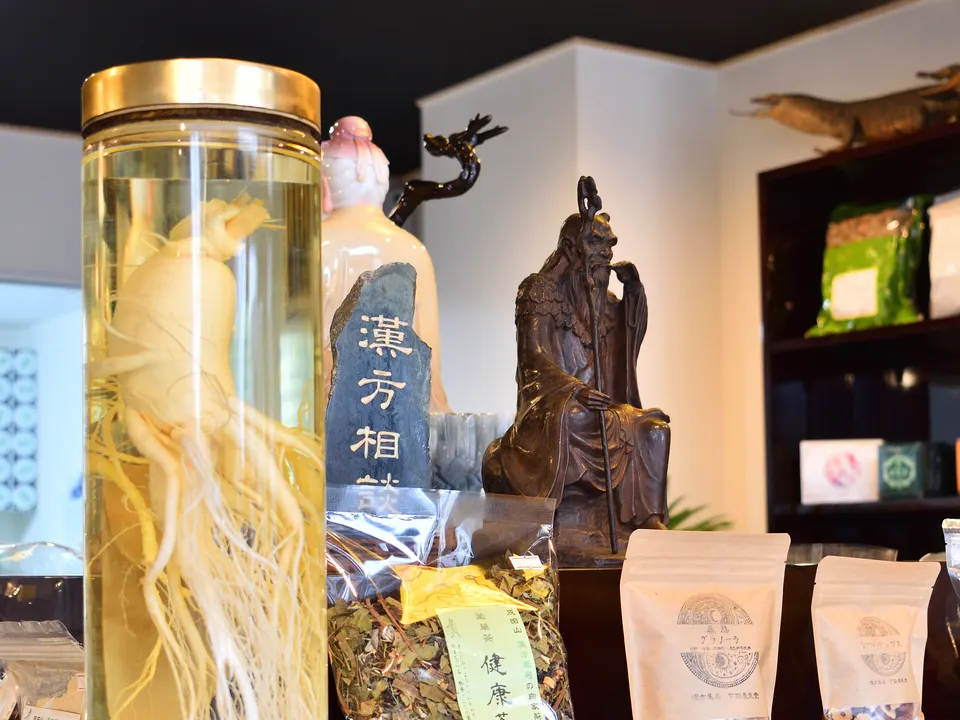 漢方薬局 下田康生堂の店頭